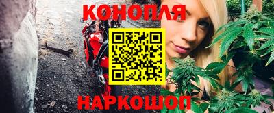 шишки Будённовск