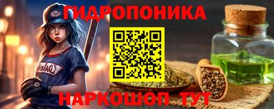 шишки Будённовск