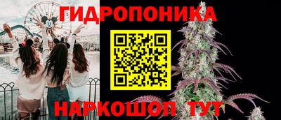 шишки Будённовск