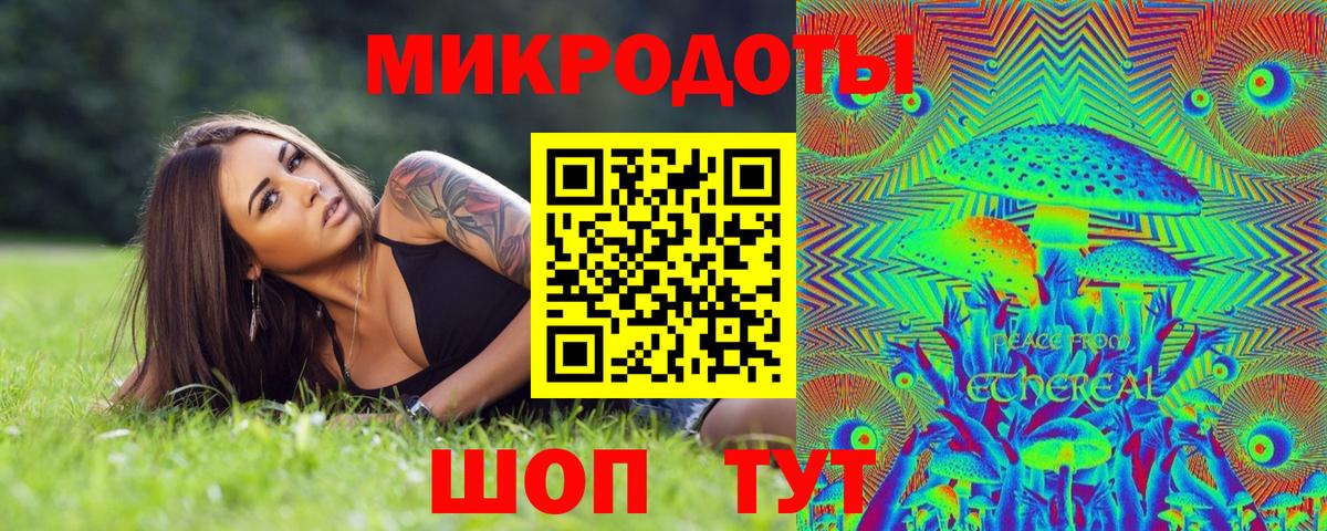 Псилоцибиновые грибы мицелий Сосновый Бор